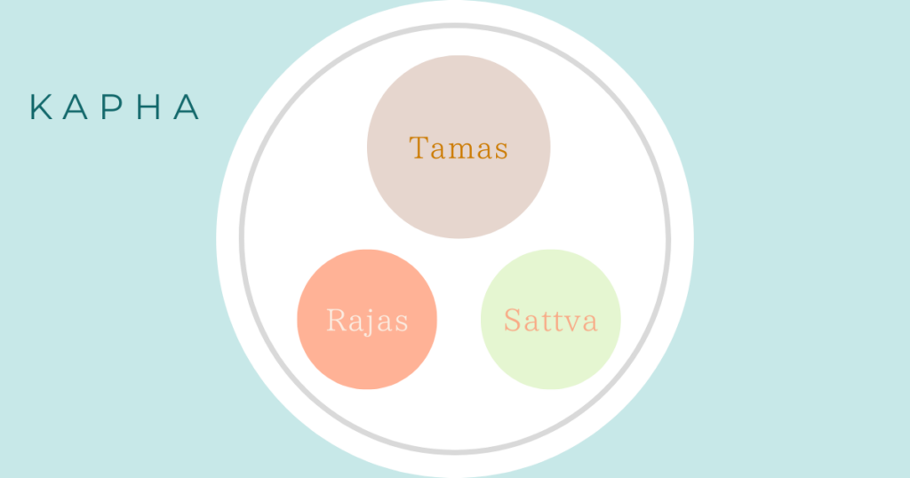 トリグナとは？｜カパとトリグナの関係