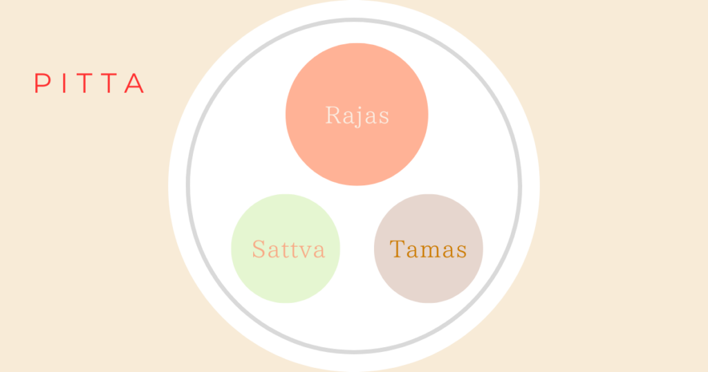 トリグナとは？｜ピッタとトリグナの関係